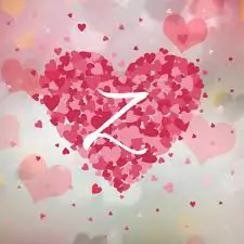 z name dp pic